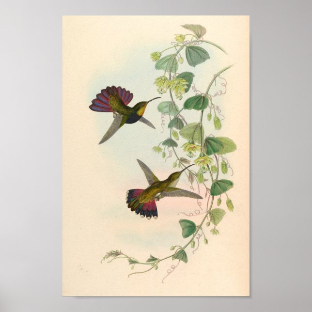 Affiche Oiseaux d'art vintages Fleurs d'impression (Devant)