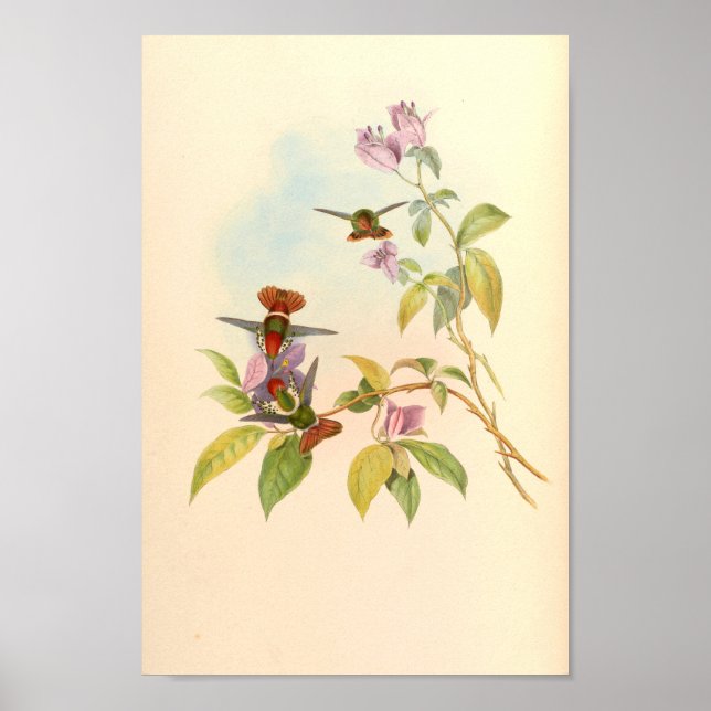 Affiche Oiseaux d'art vintages Fleurs d'impression (Devant)