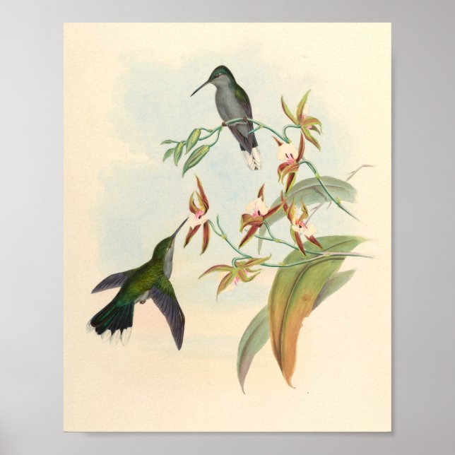 Affiche Oiseaux d'art vintages Fleurs d'impression (Devant)