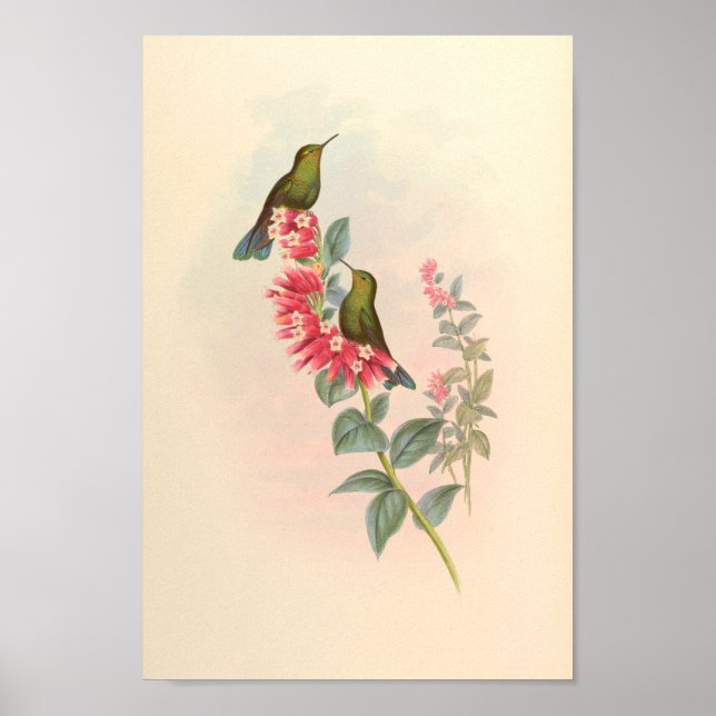 Affiche Oiseaux d'art vintages Fleurs d'impression (Devant)