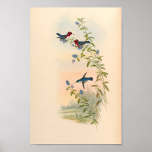 Affiche Oiseaux d'art vintages Fleurs d'impression