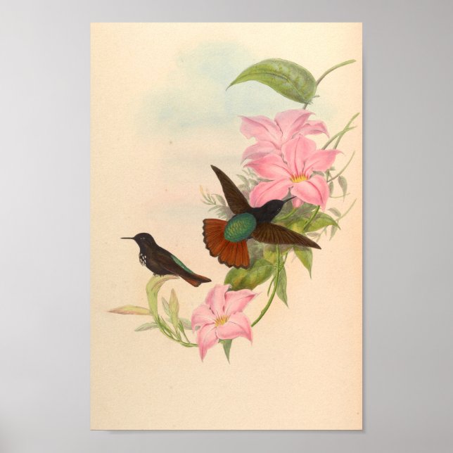 Affiche Oiseaux d'art vintages Fleurs d'impression (Devant)