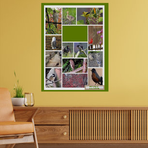 Affiche Oiseaux de Boston