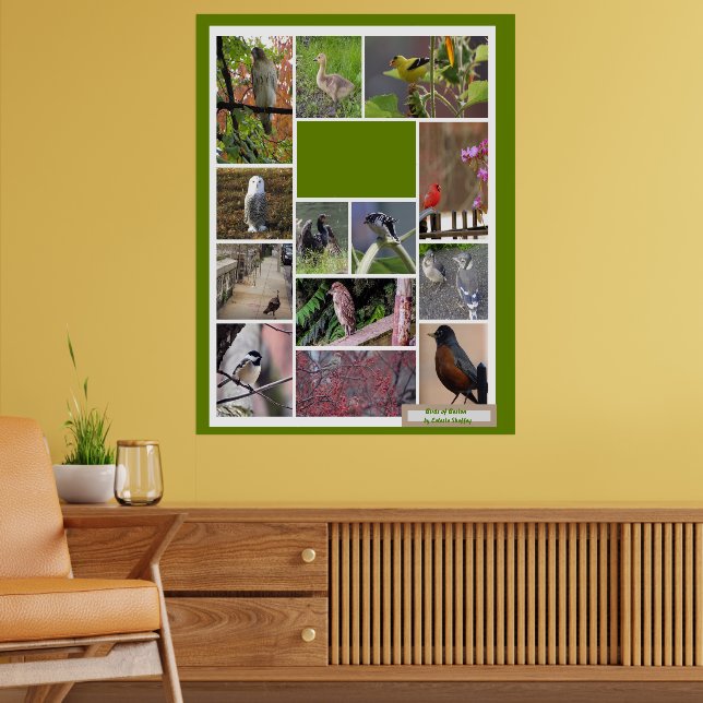 Affiche Oiseaux de Boston (Salon 2)