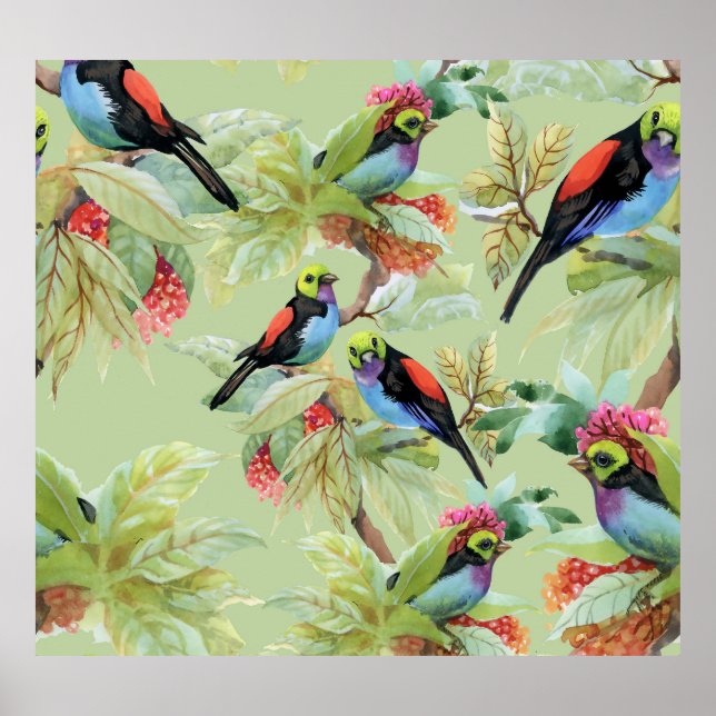 Affiche Oiseaux de fleurs d'été : Motif tropical (Devant)