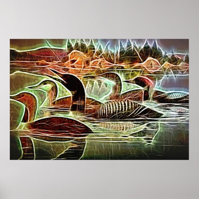 Affiche Oiseaux de Loon (Devant)