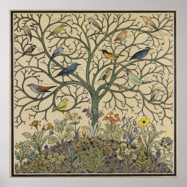 Affiche Oiseaux de nombreux climes par C.F.A Voysey (Devant)