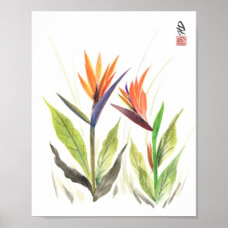 Affiche Oiseaux de Paradis dans la lumière du matin