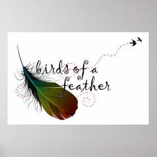 Affiche oiseaux d'une plume.
