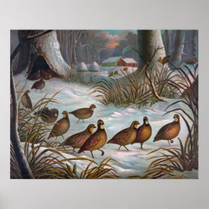 Affiche Oiseaux En Neige