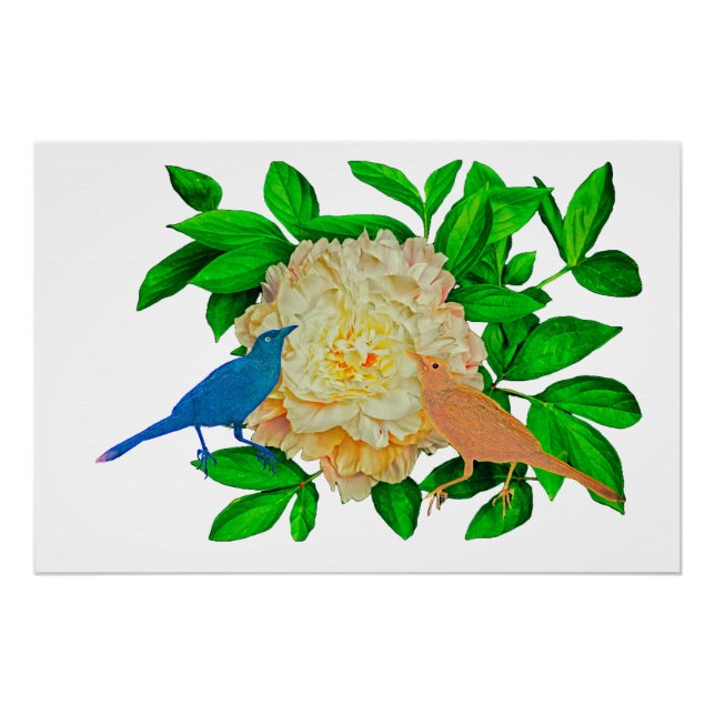 Affiche Oiseaux et fleurs (Devant)