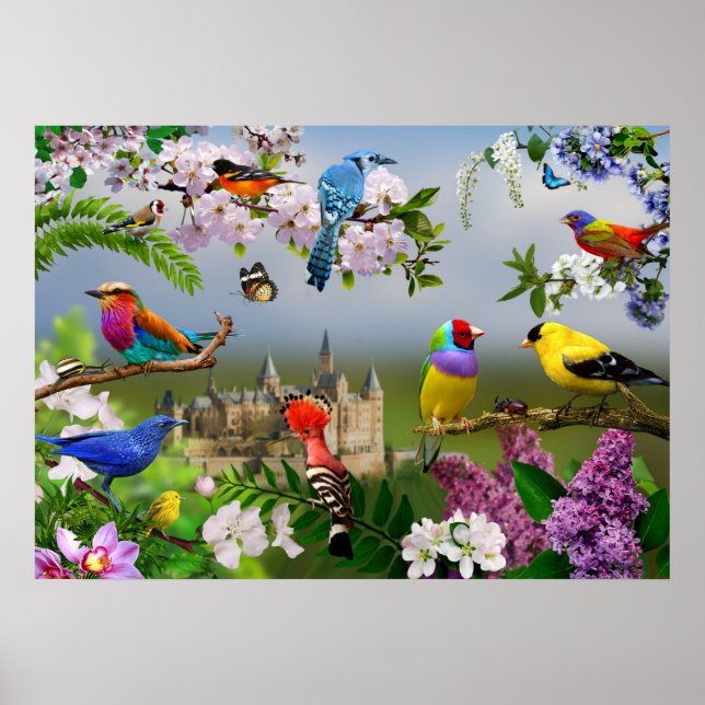 Affiche Oiseaux et fleurs Belle image avec oiseaux (Devant)