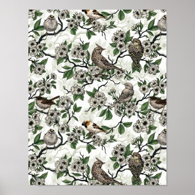 Affiche Oiseaux et fleurs de cerisier sur fond blanc (Devant)