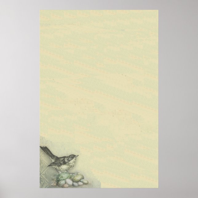 Affiche Oiseaux et oeufs Bkgrd (Devant)