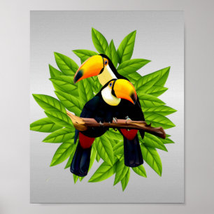 Affiche Oiseaux exotiques