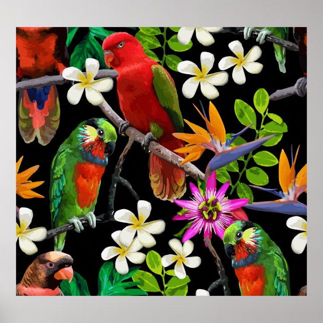 Affiche Oiseaux exotiques Belles Fleurs Motif (Devant)