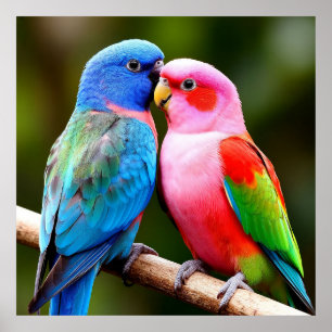 Affiche Oiseaux Exotiques Perché Ensemble Cadeau pour Amat