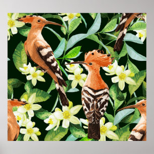 Affiche Oiseaux exotiques : Tropical Vintage Print