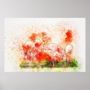 Affiche Oiseaux Flamants roses