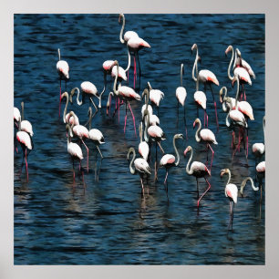 Affiche Oiseaux Flamants roses en rose et blanc sur bleu I
