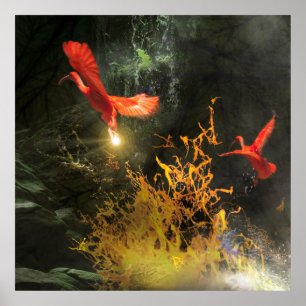 Affiche Oiseaux Ibis Écarlate « VOLER LA LUMIÈRE »