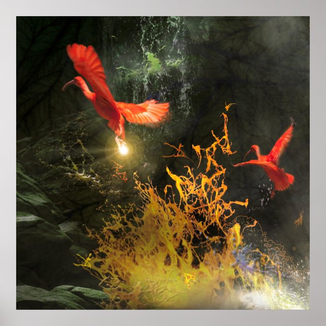 Affiche Oiseaux Ibis Écarlate « VOLER LA LUMIÈRE » (Devant)