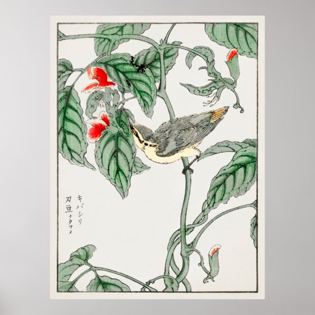 Affiche Oiseaux japonais 2 (Devant)