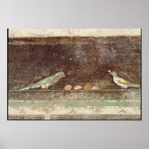 Affiche Oiseaux mangeant des noix