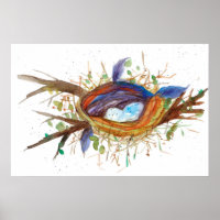 Oiseaux Nid Oeufs Plumes Arbre Aquarelle