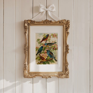 Affiche Oiseaux nord-américains   Tzel Gustav Mü