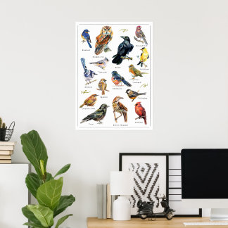 Affiche Oiseaux peints à la main