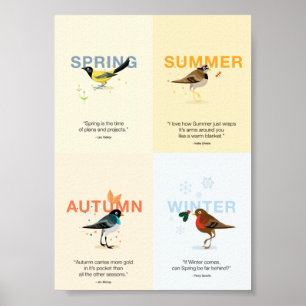 Affiche oiseaux saisonniers illustrés avec des guillemets