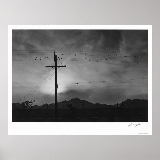 Affiche Oiseaux Sur Fil, Soirée 1943 (Devant)