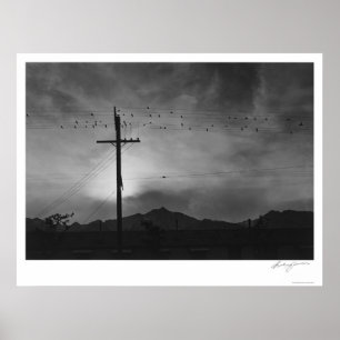 Affiche Oiseaux sur le fil, même 1943