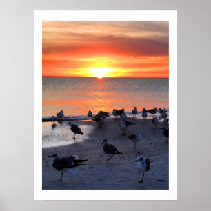 Affiche Oiseaux sur le rivage