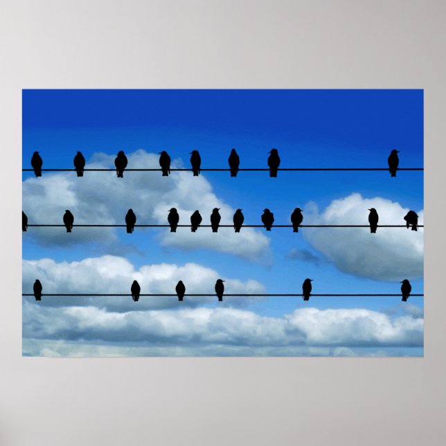 Affiche Oiseaux Sur Un Fil (Devant)