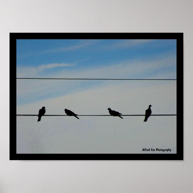 Affiche Oiseaux sur un fil (Devant)