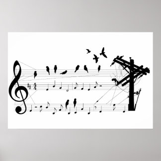 Affiche Oiseaux sur une note
