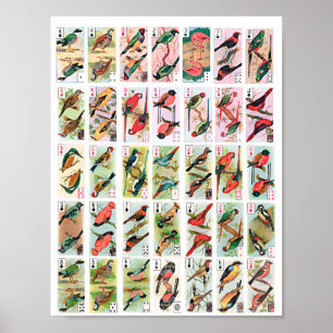 Affiche Oiseaux vintages Jouer aux cartes Animaux