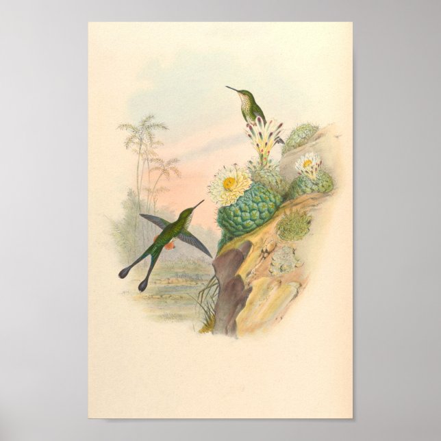 Affiche Oiseaux vintages Oiseaux Imprimer Fleurs Cactus (Devant)