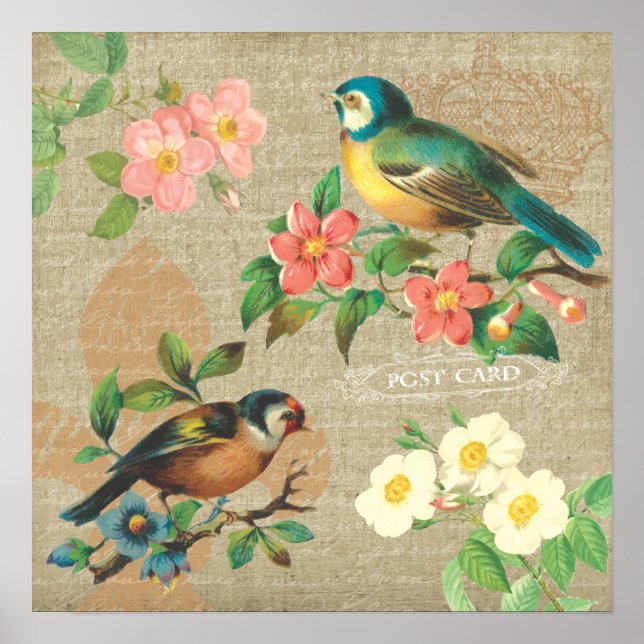Affiche Oiseaux Vintages rustiques et fleurs Shabby Elégan (Devant)