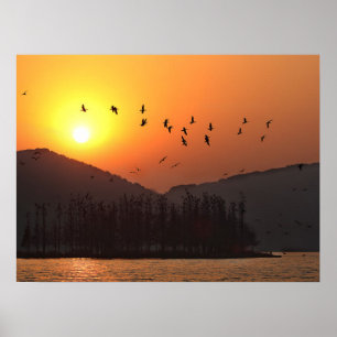 Affiche Oiseaux volant dans le ciel du coucher de soleil s