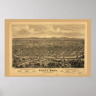 Affiche Oiseaux Vue oeil Père Noël Rosa