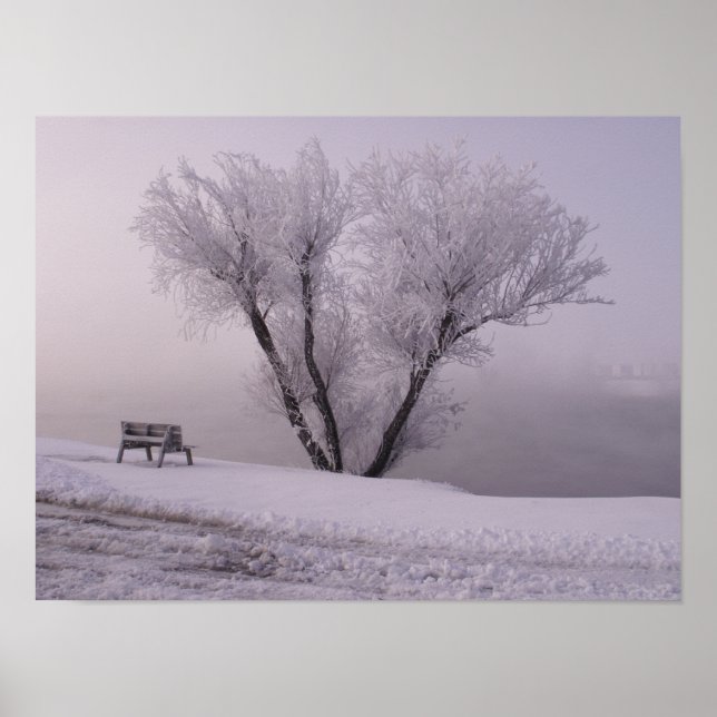 Affiche Oklahoma Winter (Devant)