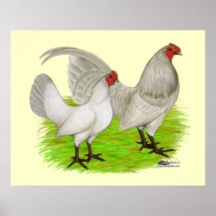 Affiche Old English Game