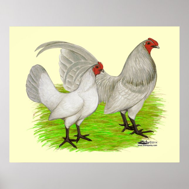 Affiche Old English Game (Devant)