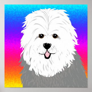 Affiche Old English Sheepdog