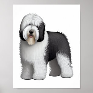 Affiche Old English Sheepdog 10