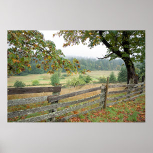 Affiche Old Fence On A Farm