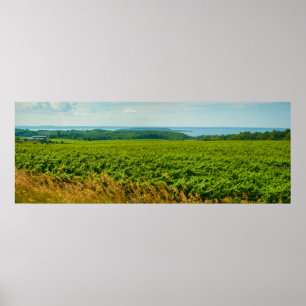 Affiche Old Mission Peninsula, Michigan